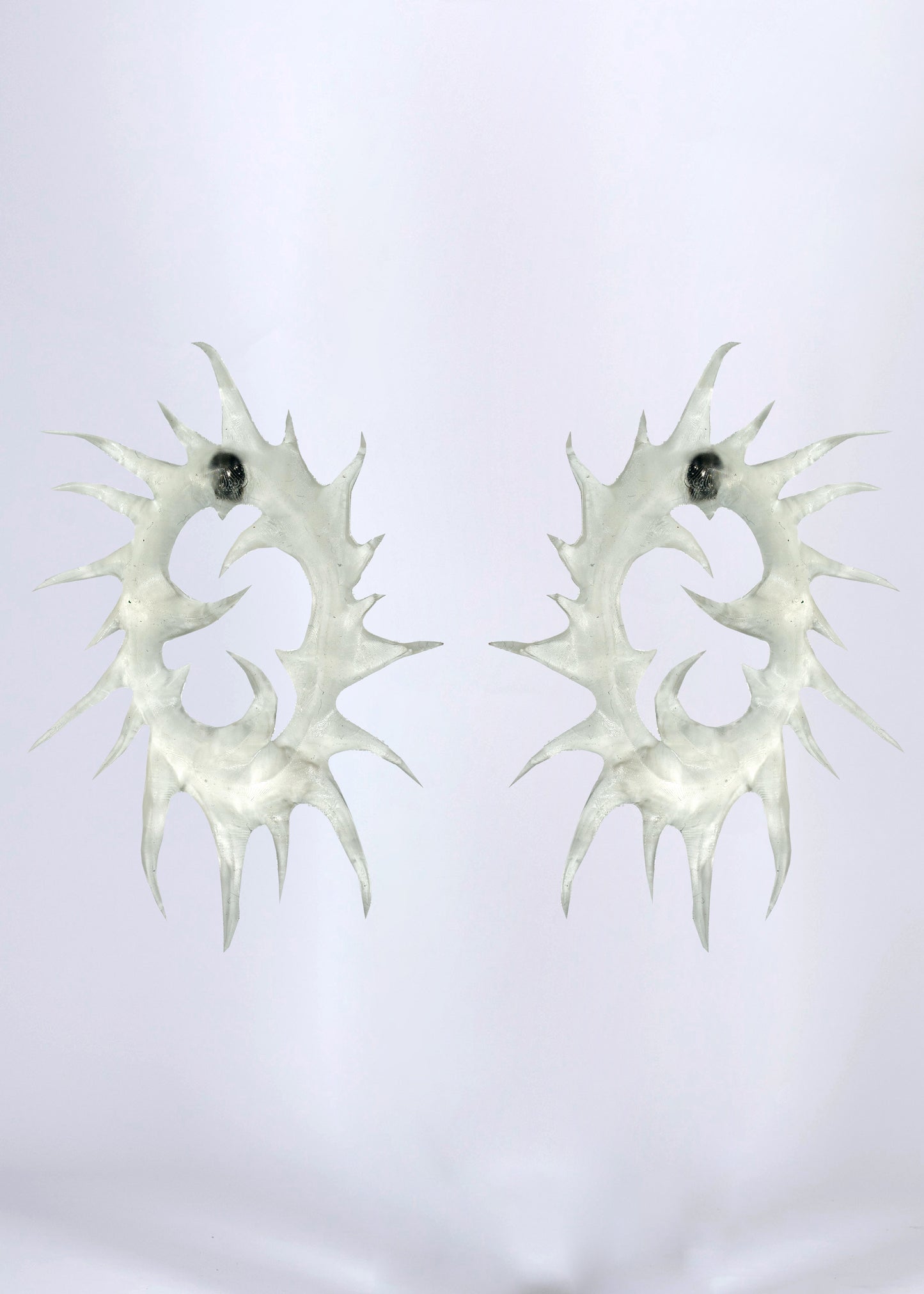 Black hole earrings