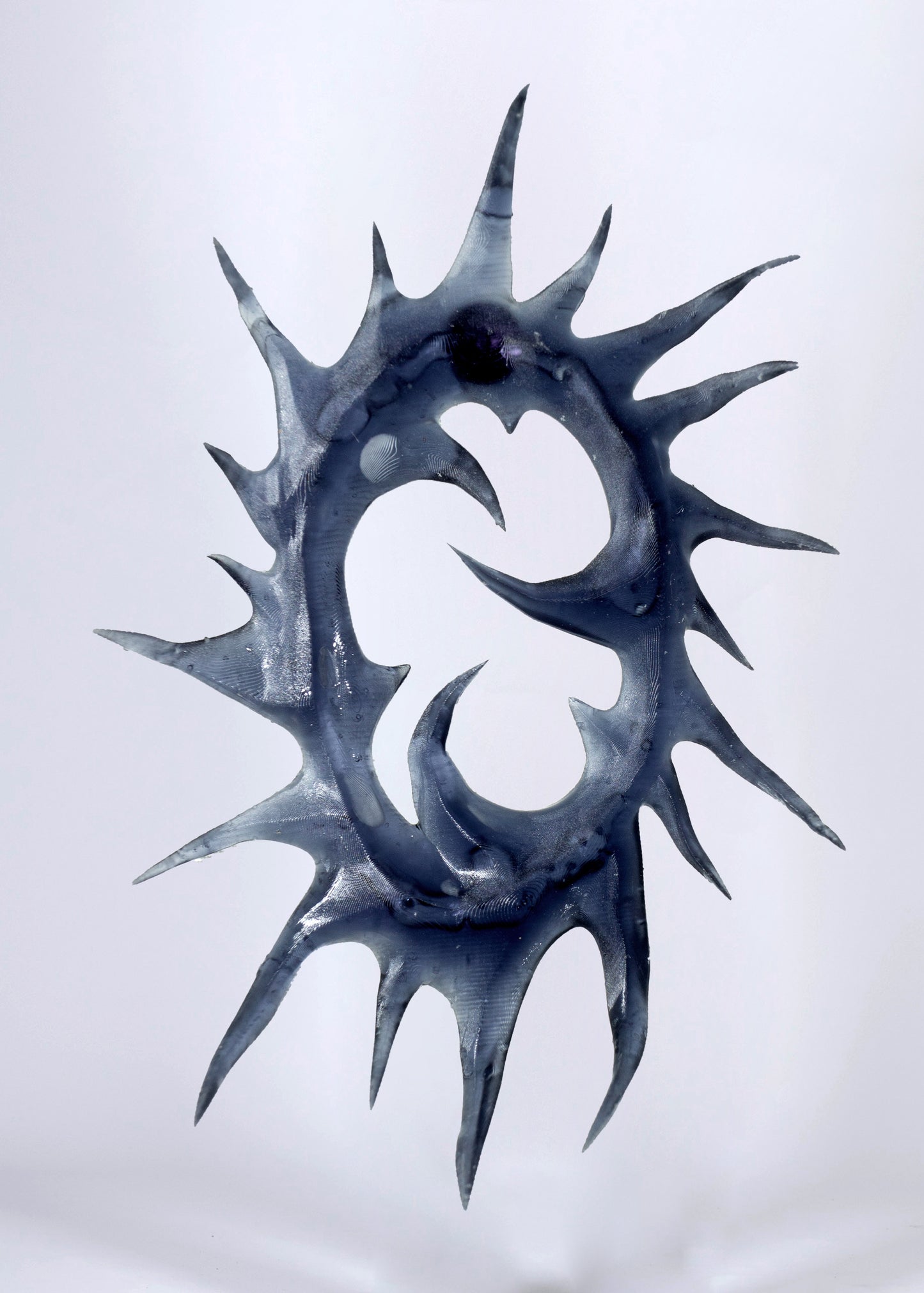 Black hole earrings